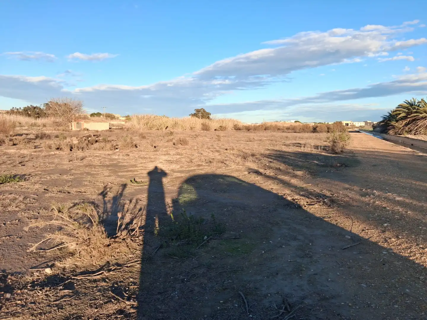 Terreno rustico in vendita a San Fulgencio, imagen 5