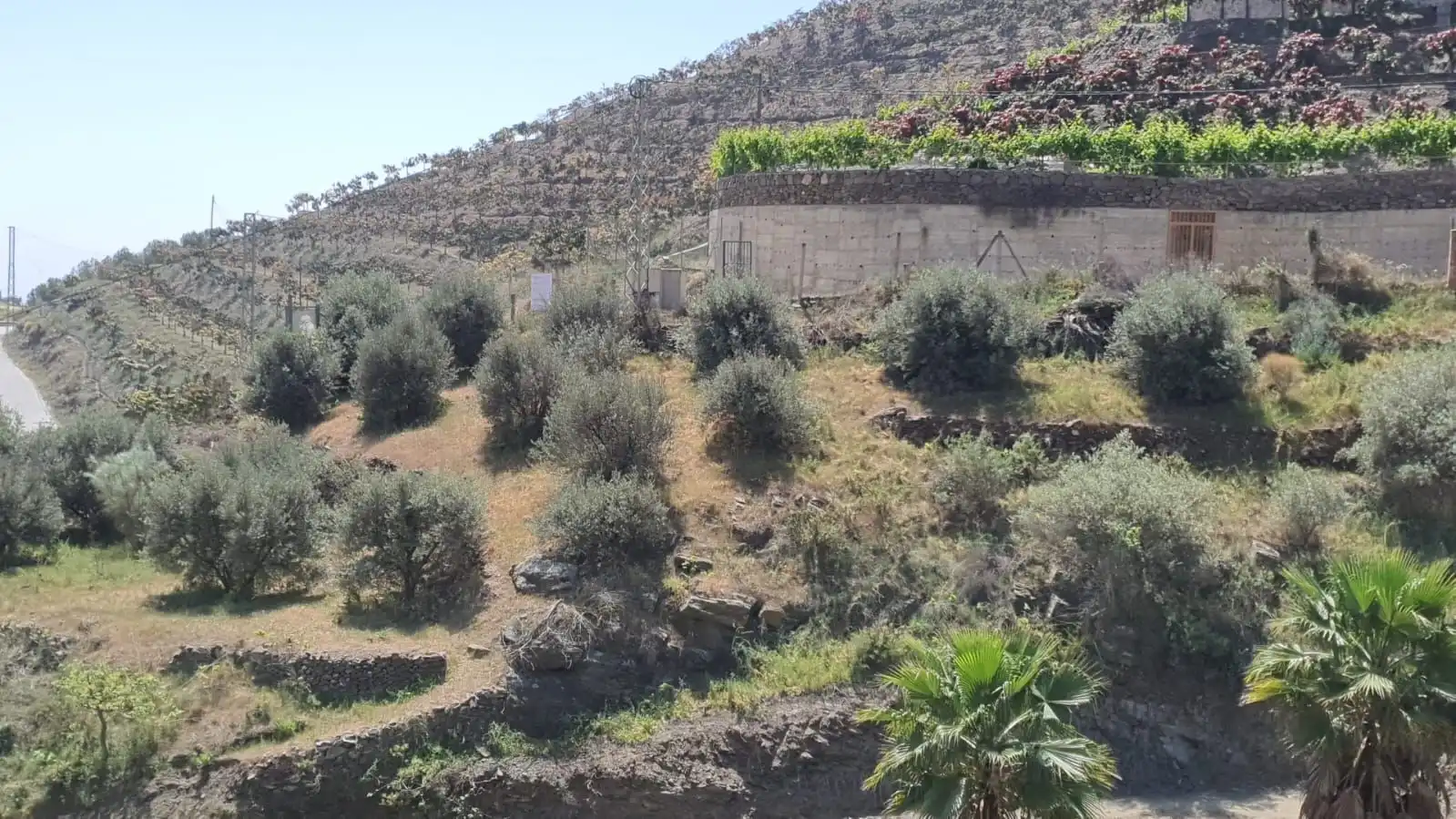 Casa rústica en venda a Torrox Pueblo, imagen 7