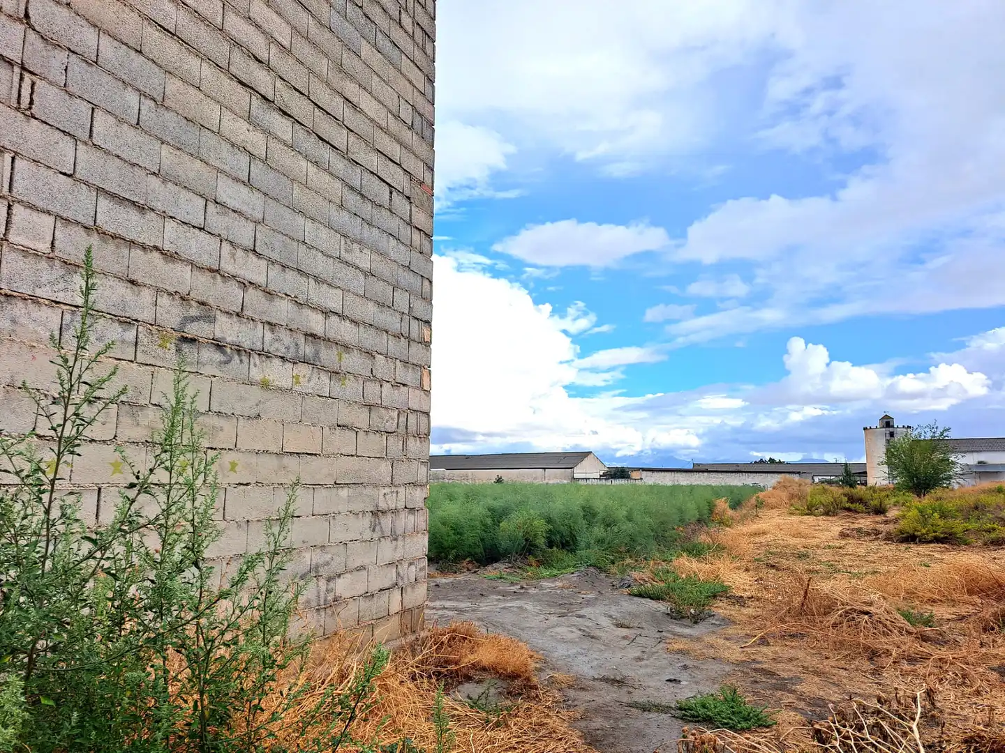 Nau industrial en venda en Fuente Vaqueros
