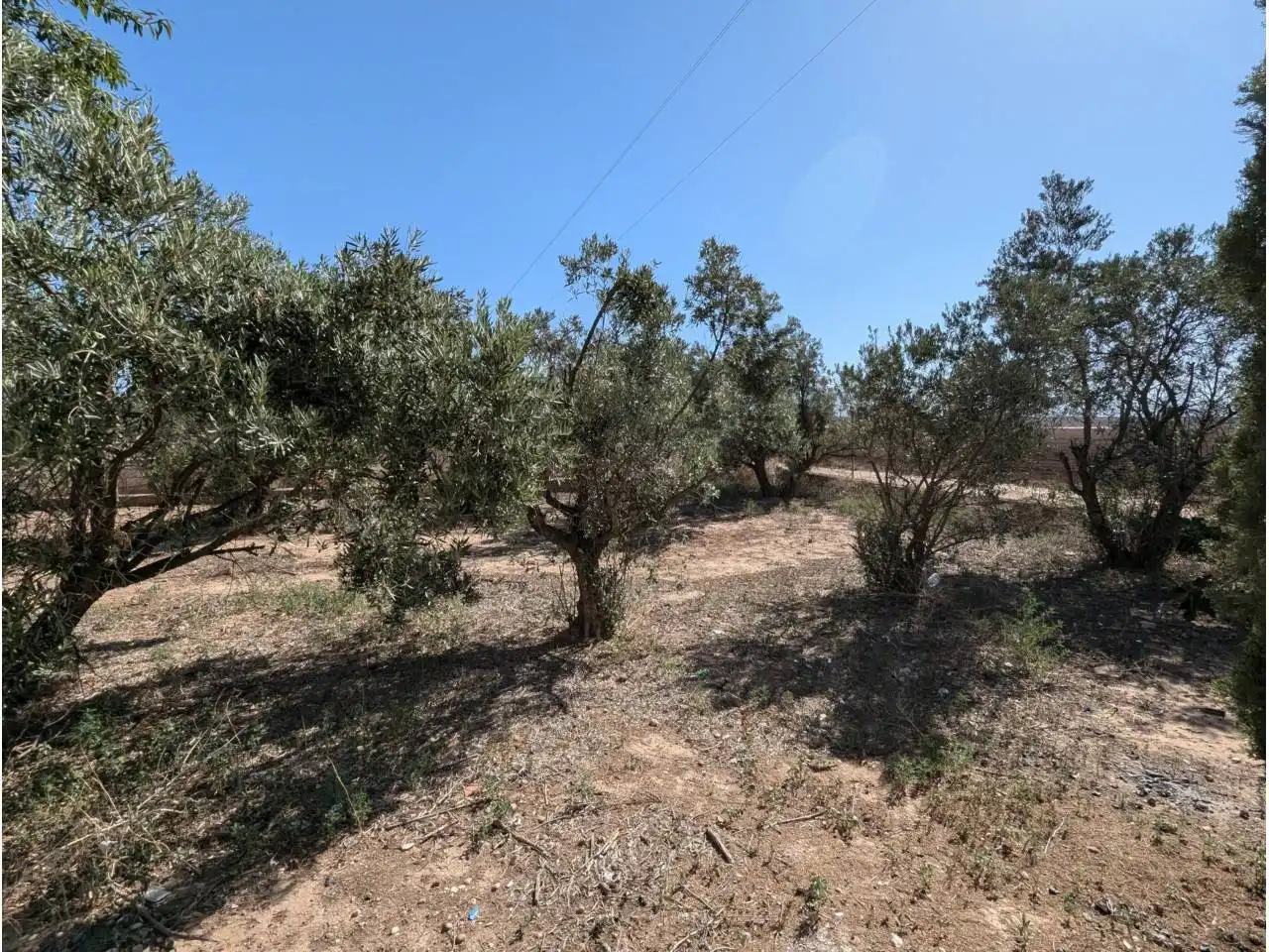 Finca rústica en venta en Caudete con Jardín privado y Piscina