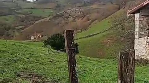 Immagine 4 dell'annuncio
