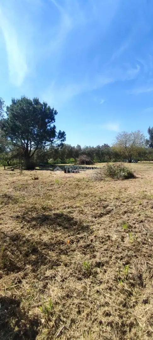 Land for sale in Alcalá de Guadaira