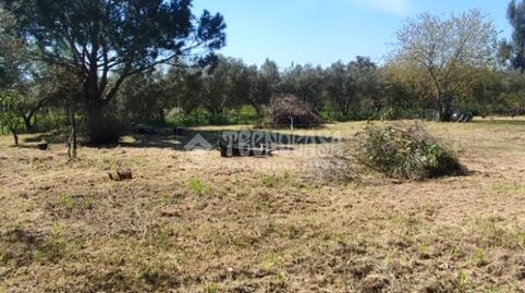 Foto 2 de Terreny en venda a Oromana, Alcalá de Guadaira