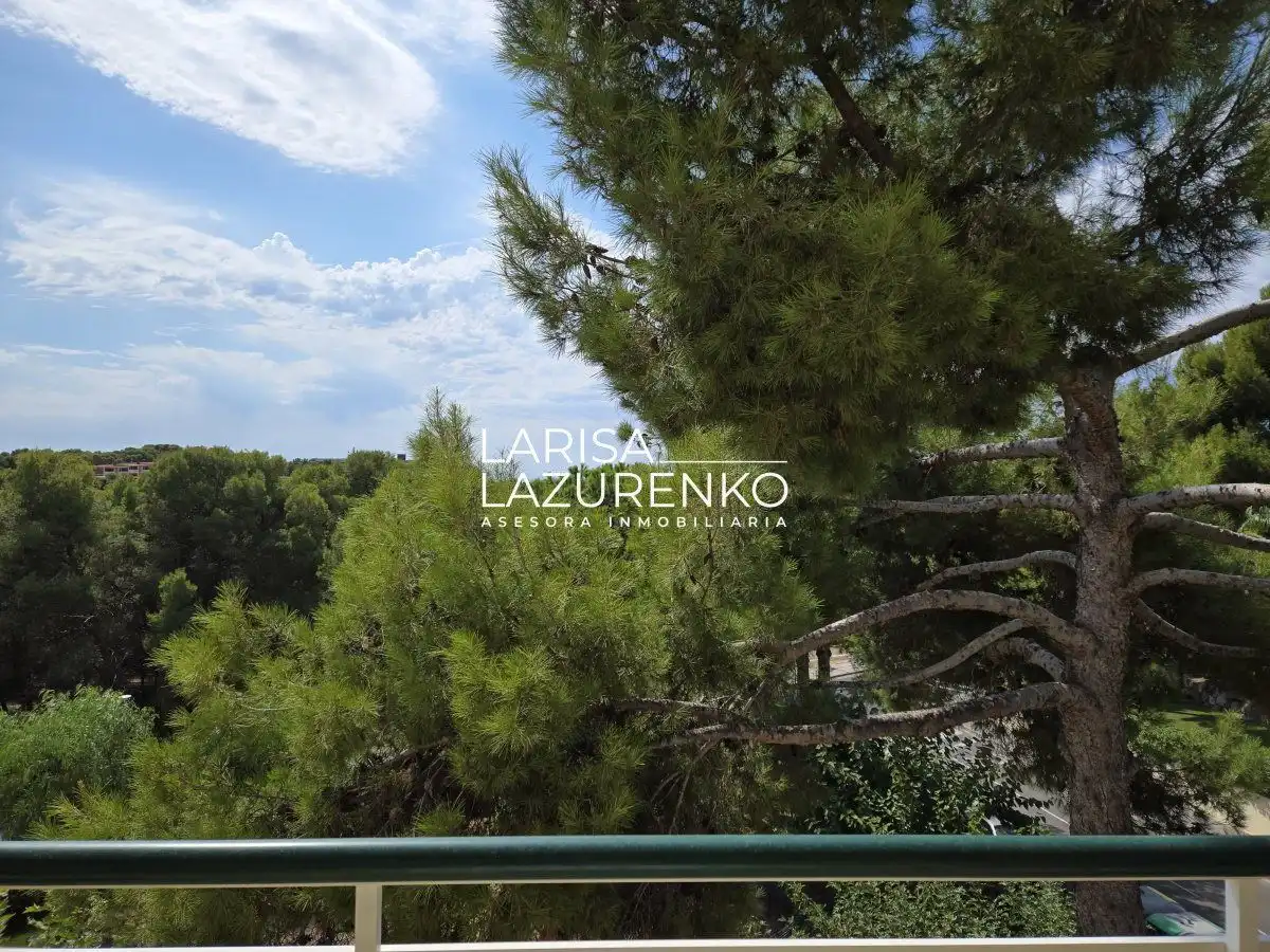 Apartment with lift for sale in BOSC GRAN, imagen 14