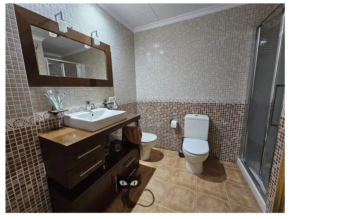 Bany de Casa o xalet en venda en Albal amb Terrassa i Balcó