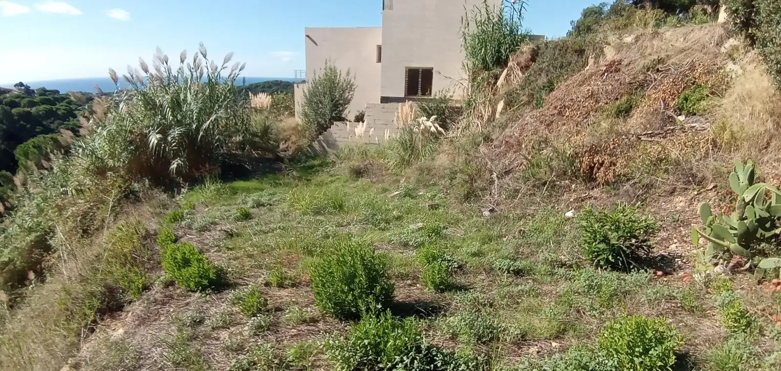 Terrenos y solares en venta en Serra Brava, imagen 5