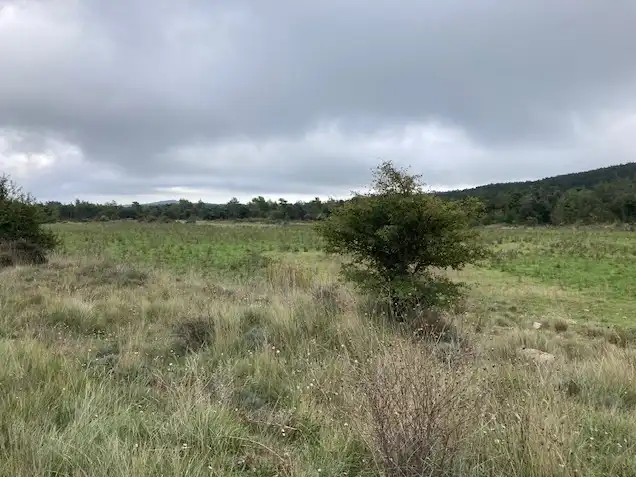 Terrain rustique à vendre à Passeig de la Mussara, imagen 8