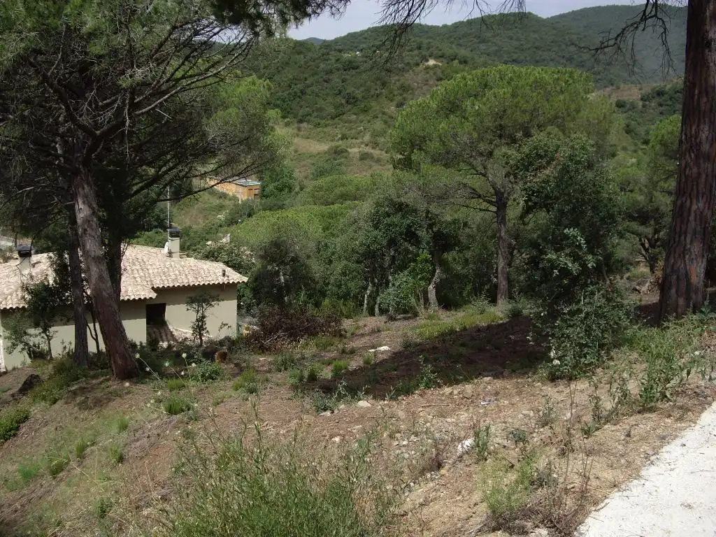 Terrain résidentiel à vendre à Alzina, imagen 4