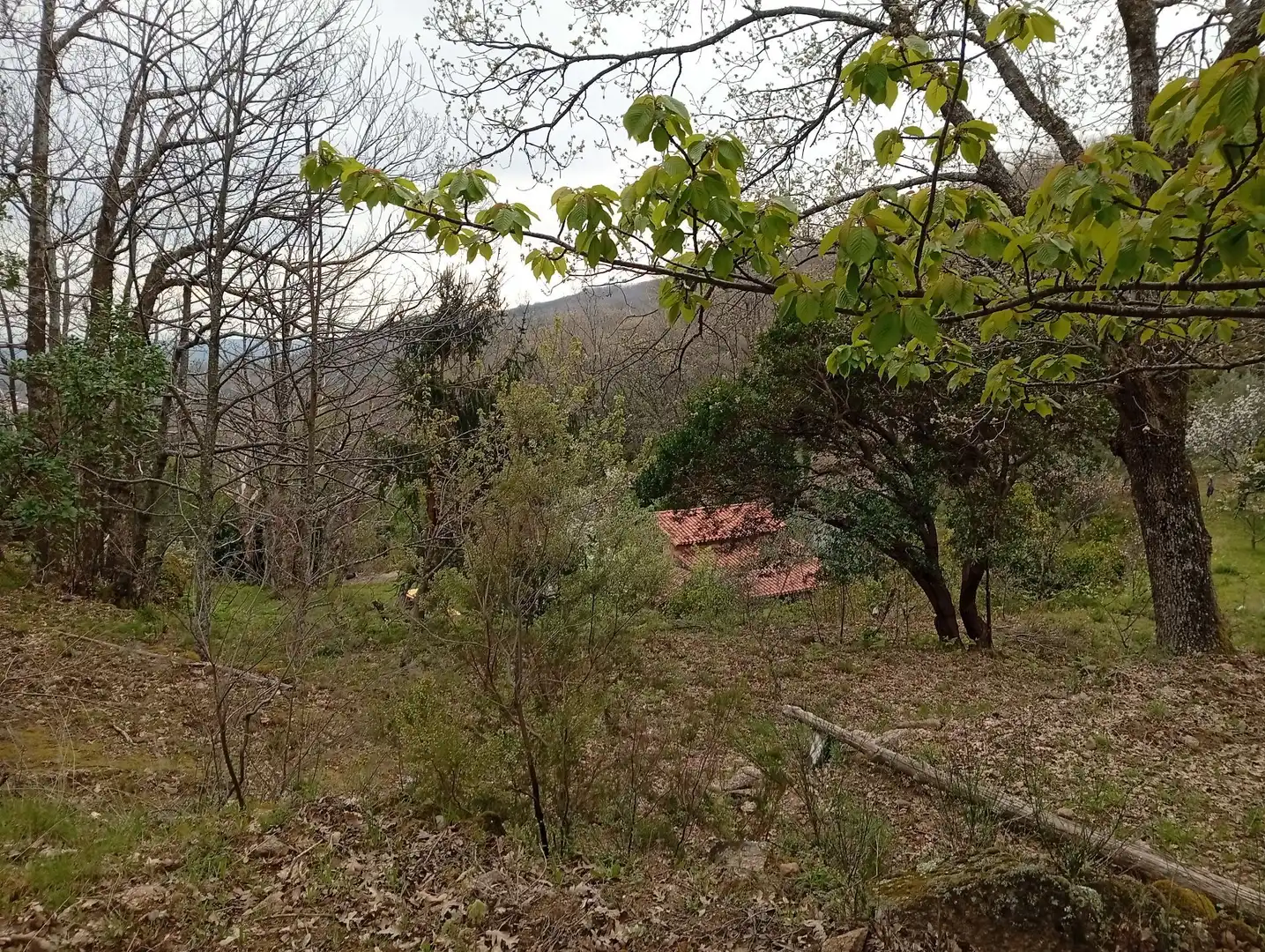 Terreni e lotti in vendita a Valverde de la Vera, imagen 54