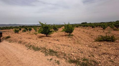 Foto 2 de Residencial en venta en Polígono 20. Parcela, Utiel, Valencia