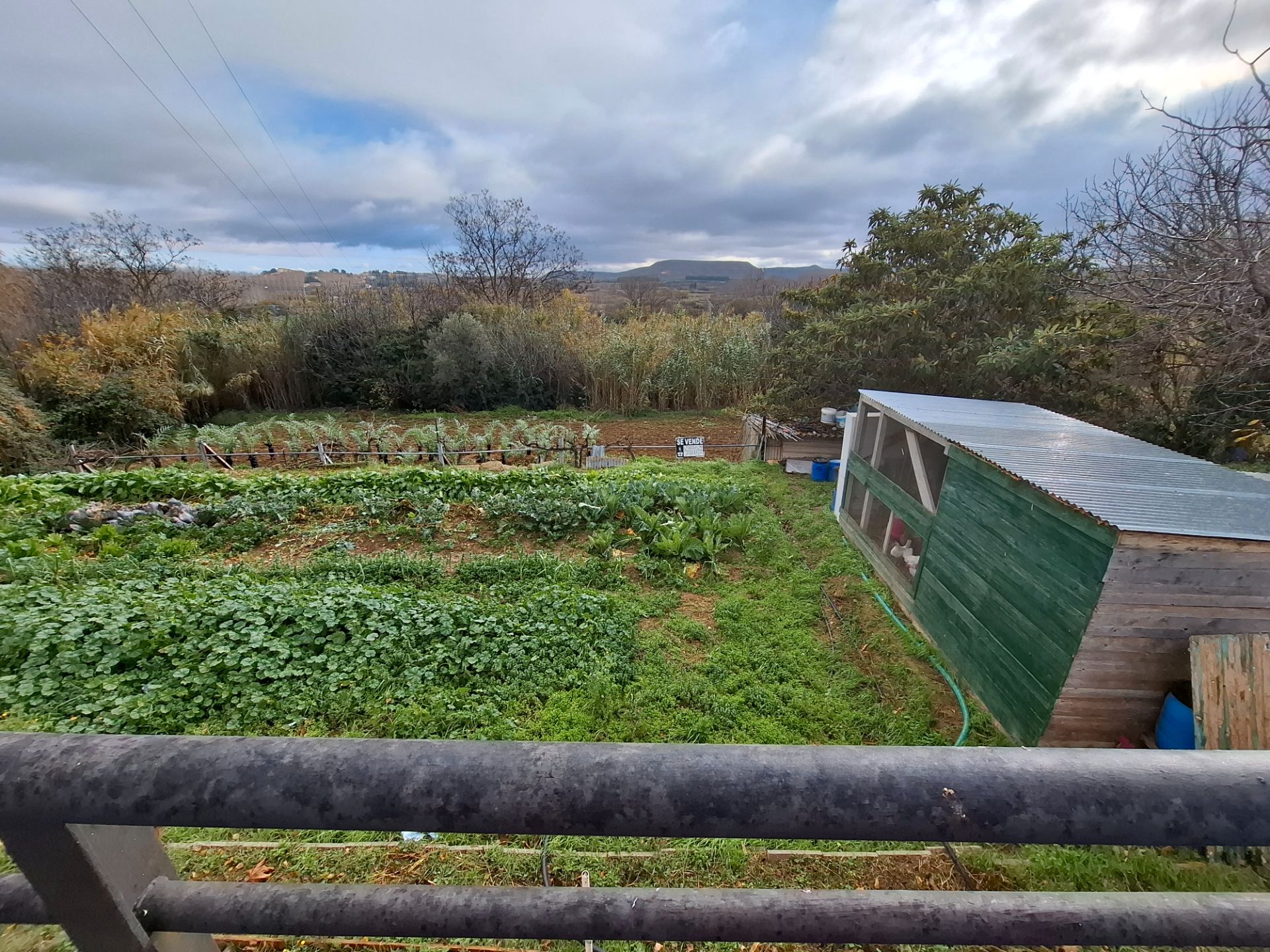 Garten von Grundstücke zum verkauf in Malón