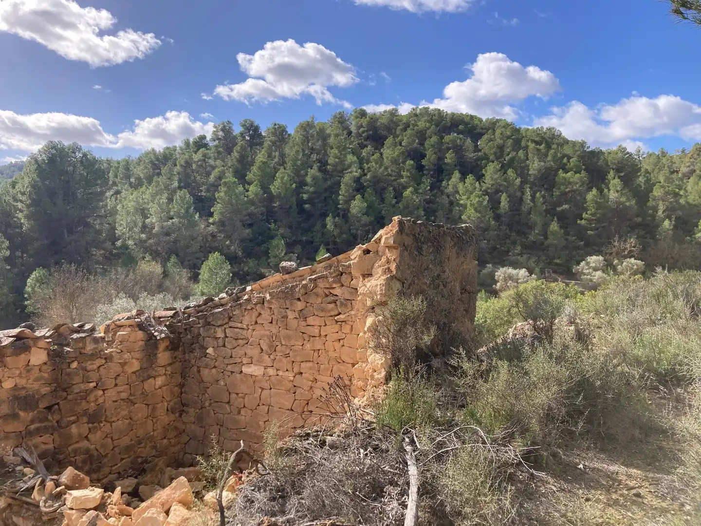 Terreni e lotti in vendita a Arens de Lledó, imagen 3