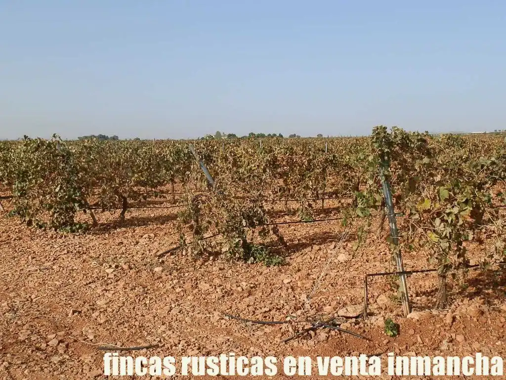 Terrenys i solars en venda a Almagro, imagen 16