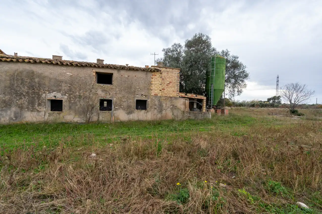 Rural land for sale in Ulldecona, imagen 3