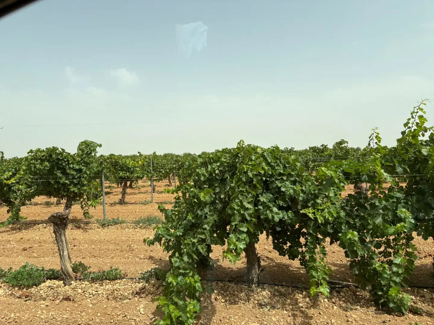 Terreno rustico in vendita a N/A, imagen 11