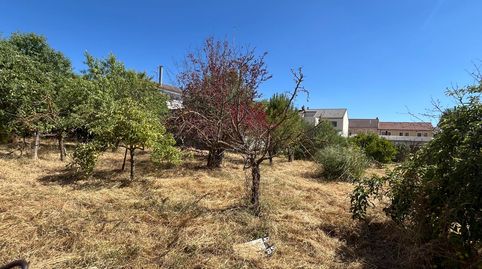 PARCELA ZONA SAN GIL, immagine 5