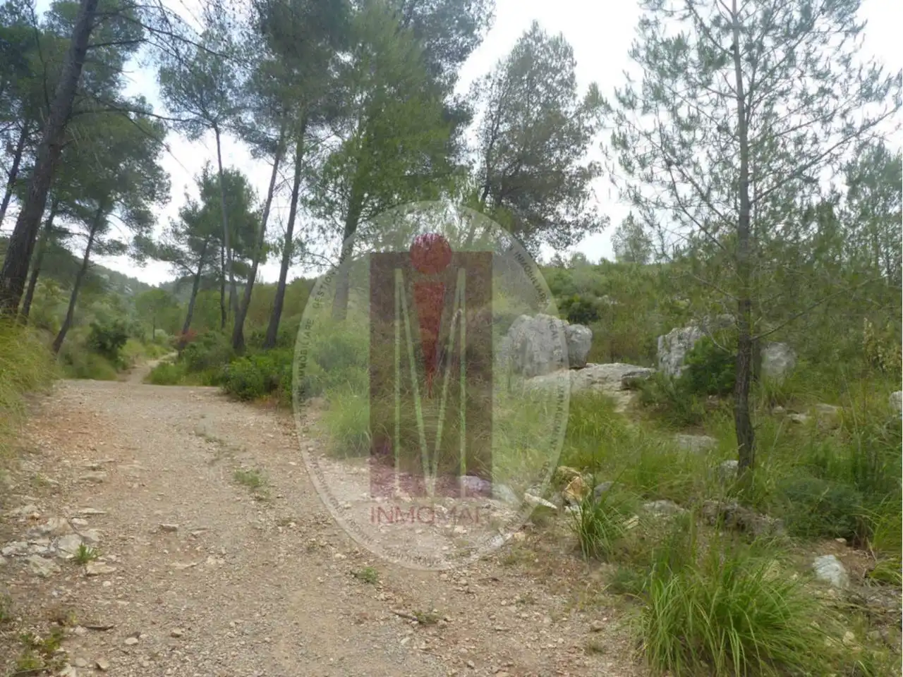 Terrain rustique à vendre à Calle plana novella 2, imagen 8