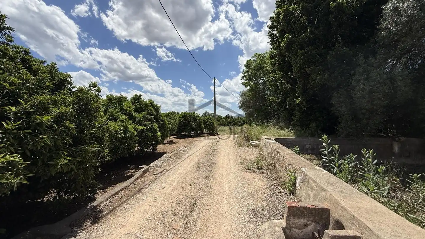 Terrain rustique à vendre à La Pobla Llarga, imagen 4