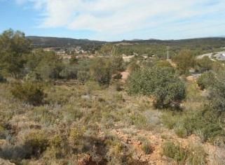 Land for sale in Algímia de Alfara
