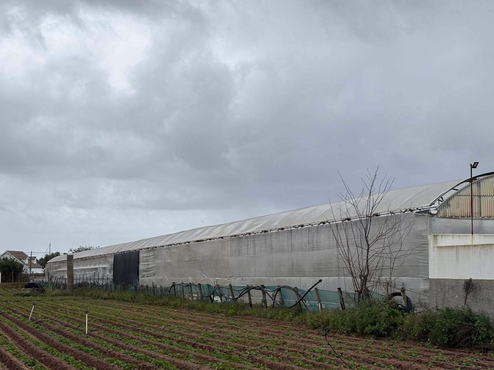 Exterior view of Land for sale in Chipiona