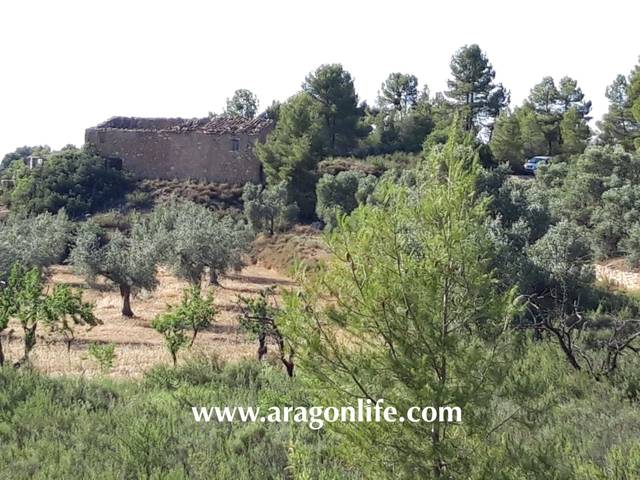 Terreno en Venta en Mazaleón