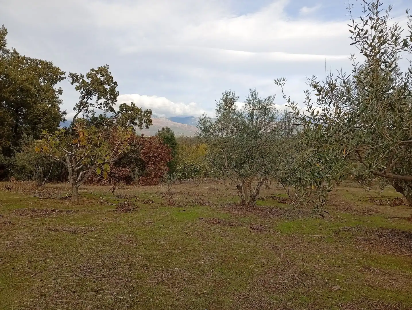 Terreni e lotti in vendita a Villanueva de la Vera, imagen 56
