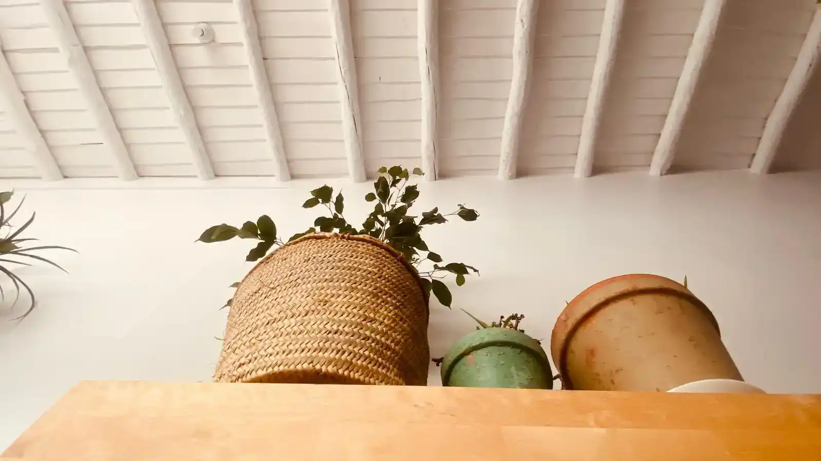 Küche von Wohnungen zur Miete in Casco Antiguo