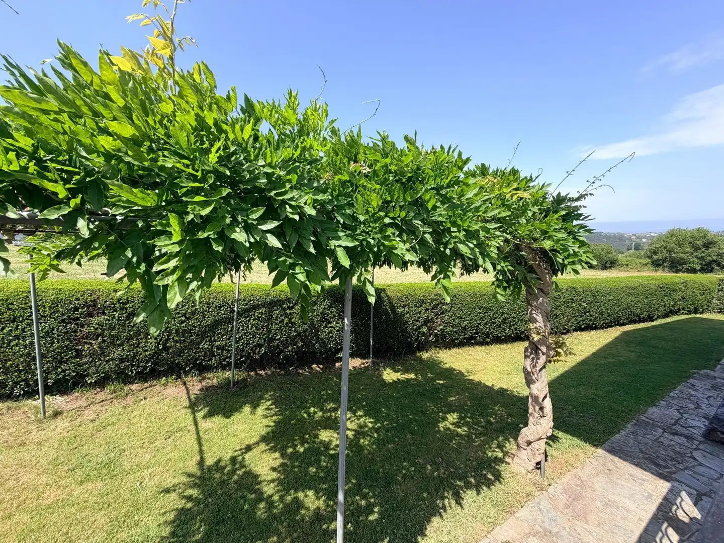 Jardín de Casa o chalet en venta en Valdés - Luarca con Calefacción, Terraza y Trastero