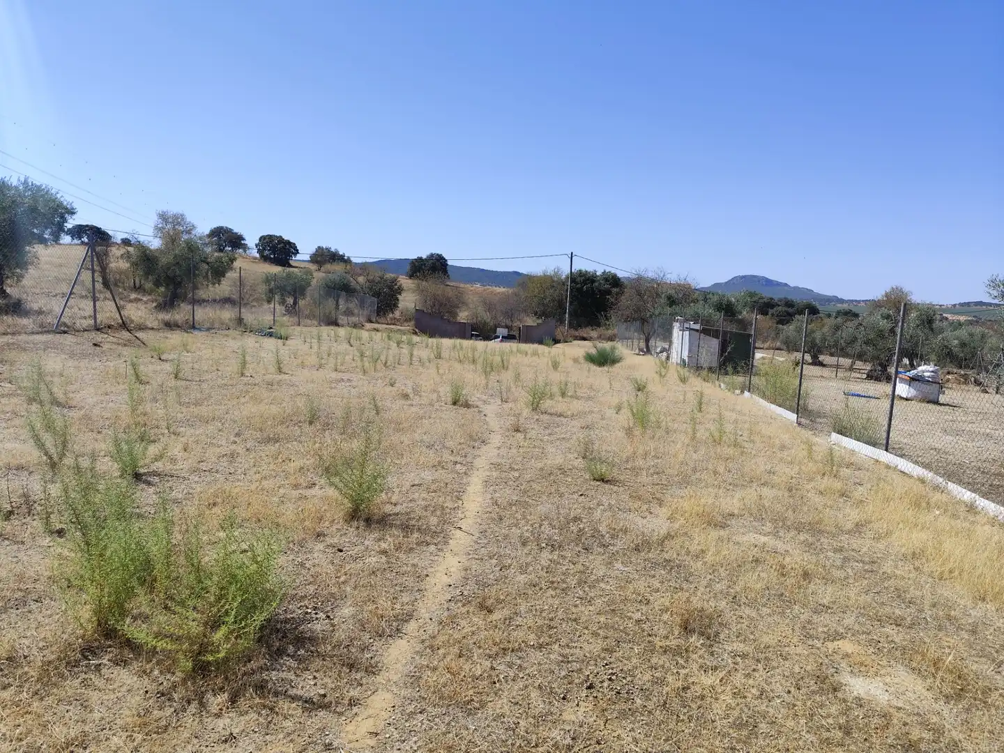 Terreno rústico en venta en Don Álvaro, imagen 10