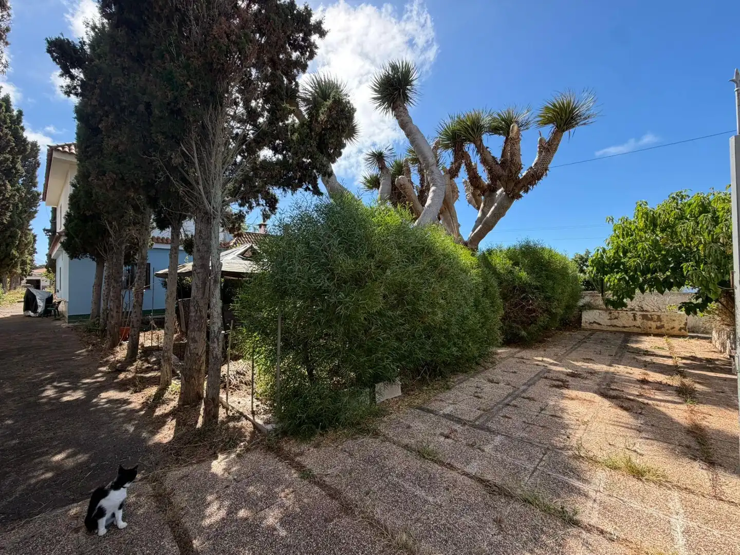 Chalet en venta en El Pris - Juan Fernández, imagen 39