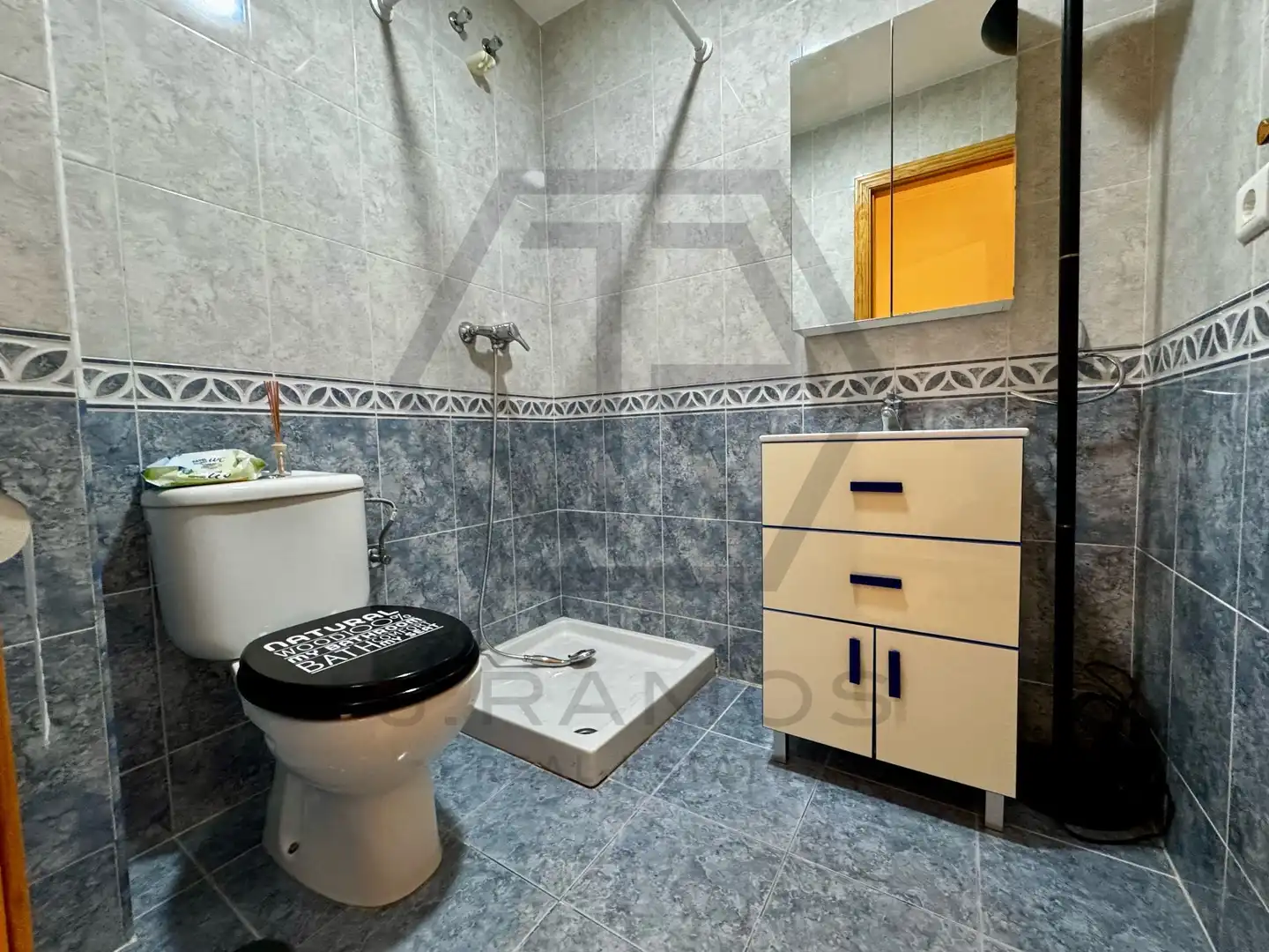Piso con piscina en venta en Pintor Antonio Valdes, imagen 24