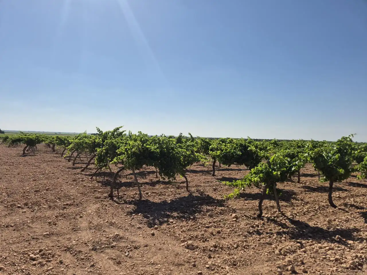 Terreno rustico in vendita a Las Colinas, imagen 35