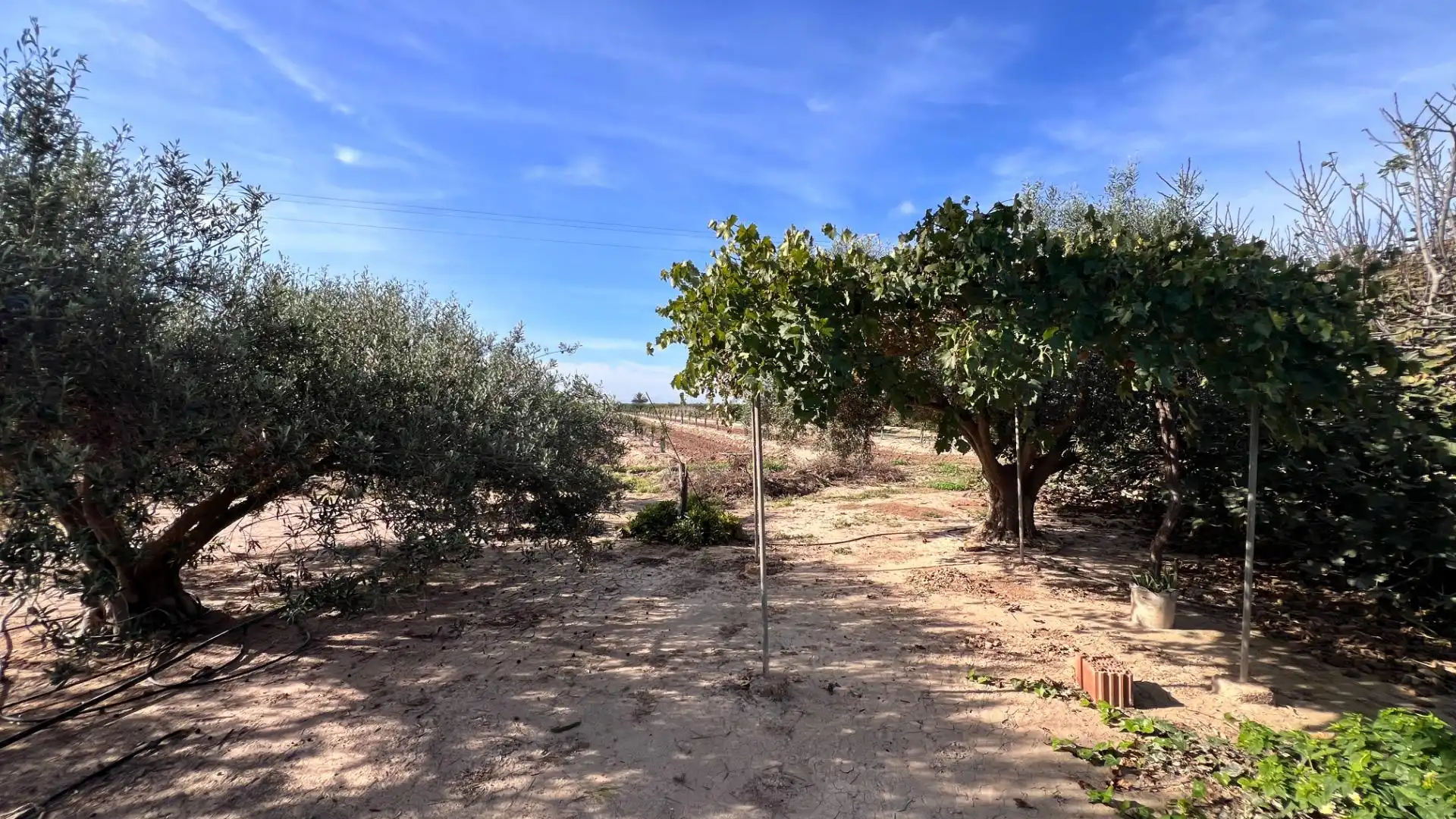 Country homes for sale in Torre-Pacheco  with Private garden