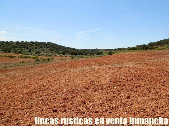 Terreno en Venta en Villanueva de los Infantes (Ciudad Real)