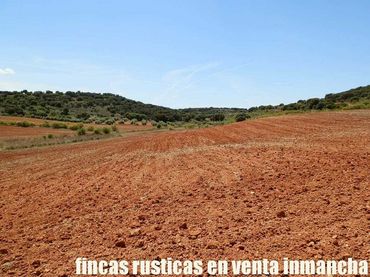 Terreno rustico in vendita a Villanueva de los Infantes (Ciudad Real)