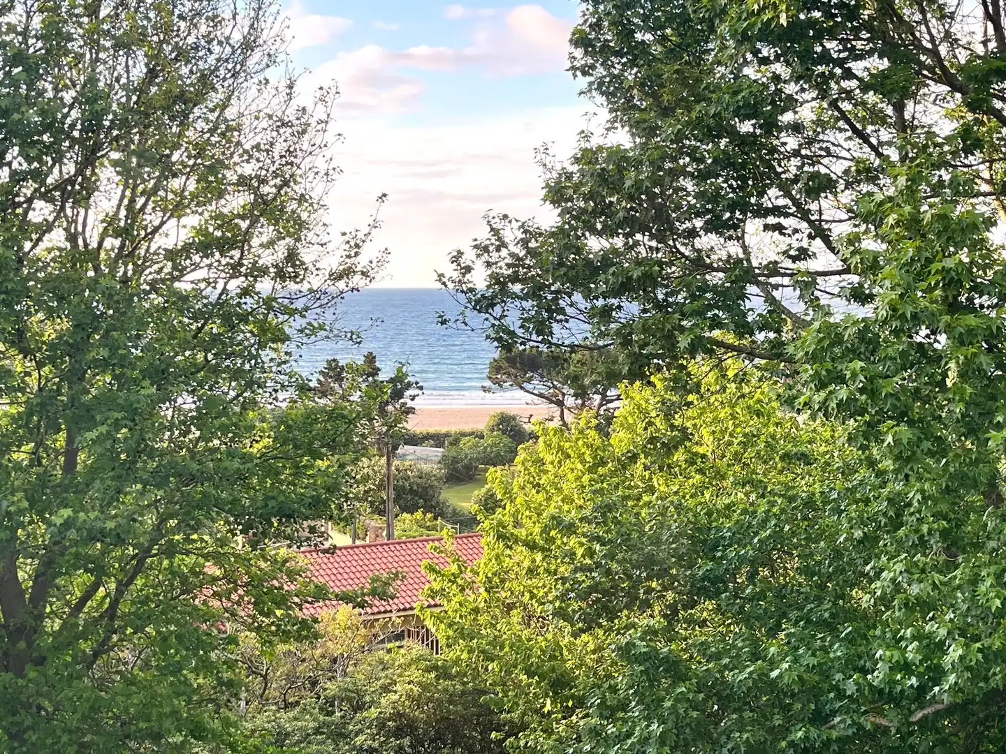 Garden of Houses for sale in Oleiros