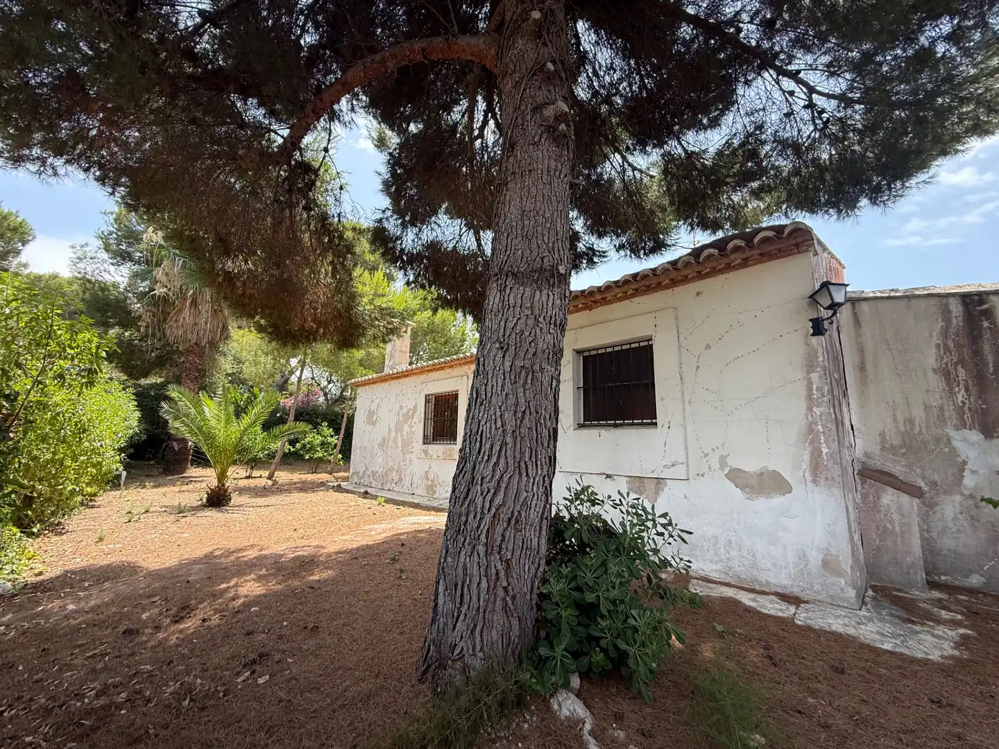 Vista exterior de Casa o xalet en venda en Jávea / Xàbia amb Jardí privat, Terrassa i Traster
