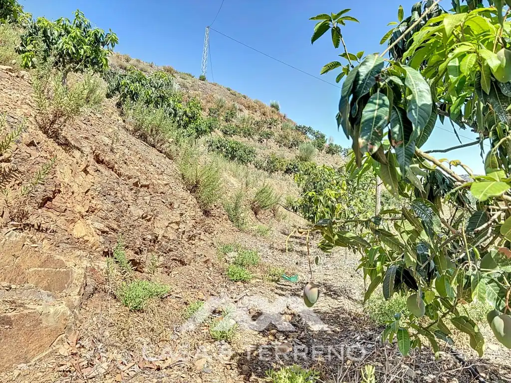 House for sale in Lagar Juan María Rebombeo, Cajiz, imagen 12