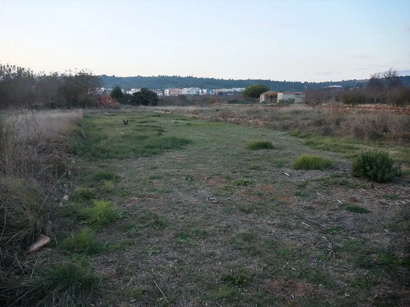 Terreny rústic en venda a Vall d'Alba, imagen 4