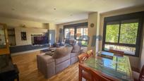 Living room of Flat for sale in  Madrid Capital  with Air Conditioner, Heating and Private garden
