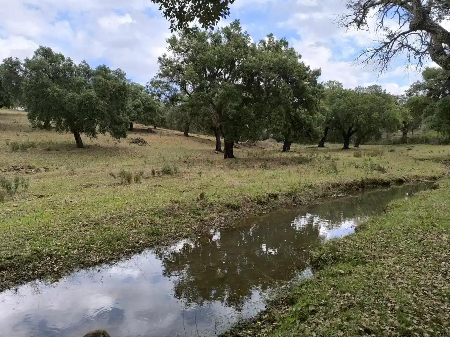 Pis en venda en Cáceres