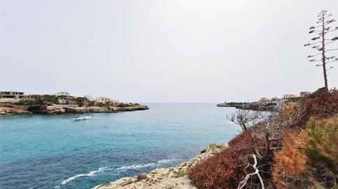 Foto 2 de Planta baixa de lloguer a Porto Cristo, Manacor