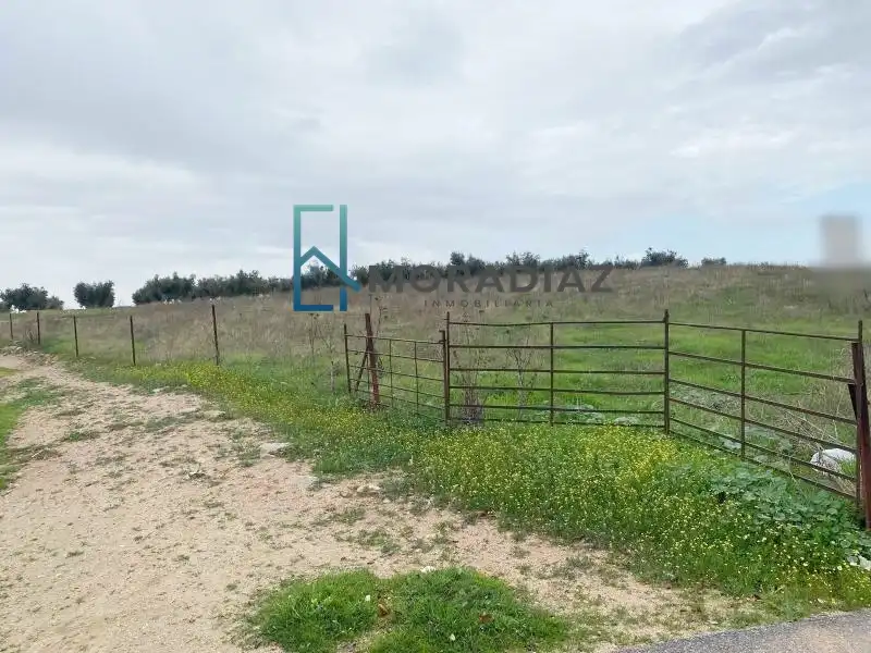 Rustikales Grundstück zum Verkauf in La Haba, imagen 5