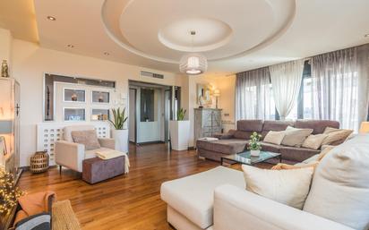 Living room of Attic for sale in Elche / Elx  with Air Conditioner, Heating and Private garden