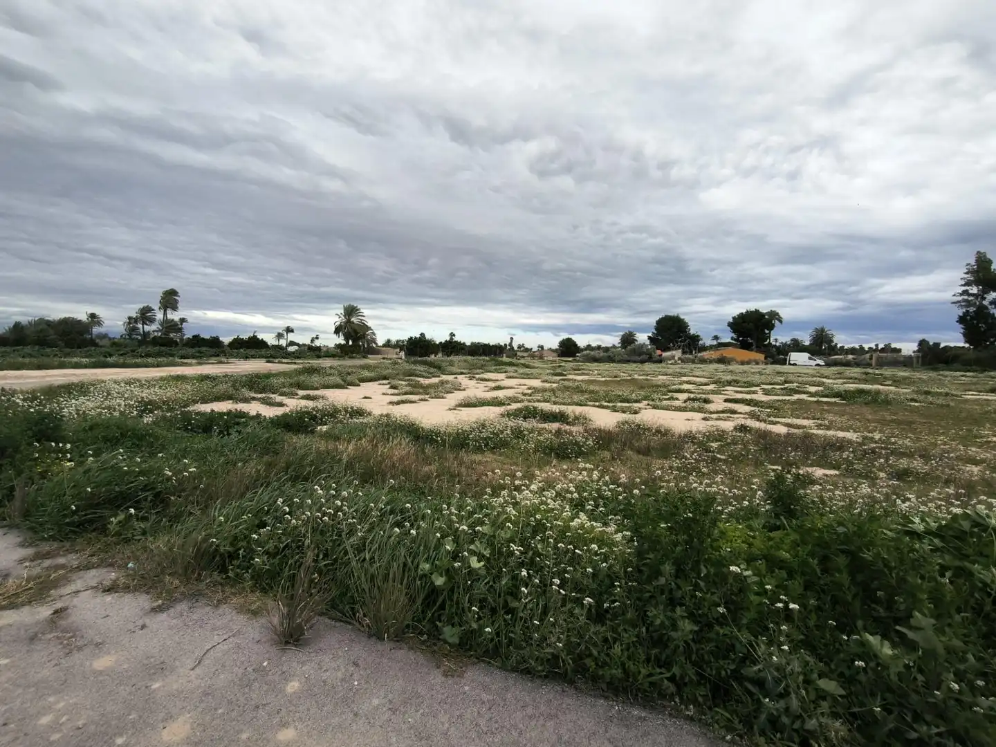 Rustikales Grundstück zum Verkauf in Partida derramador, imagen 9
