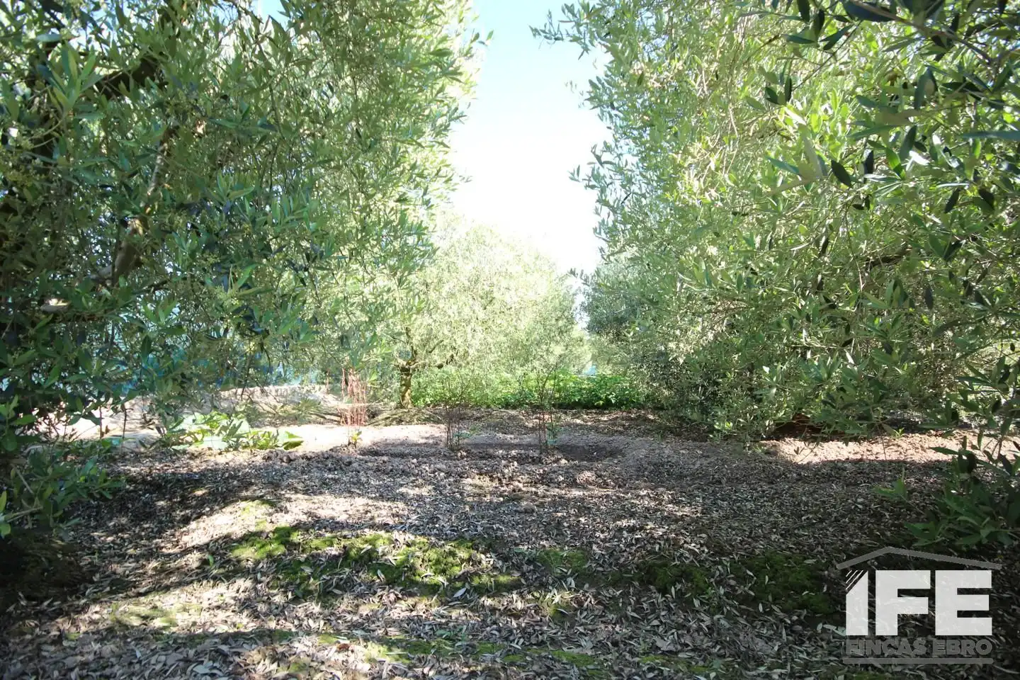 Country house zum Verkauf in Corella mit Privatgarten, Terrasse und Schwimmbad
