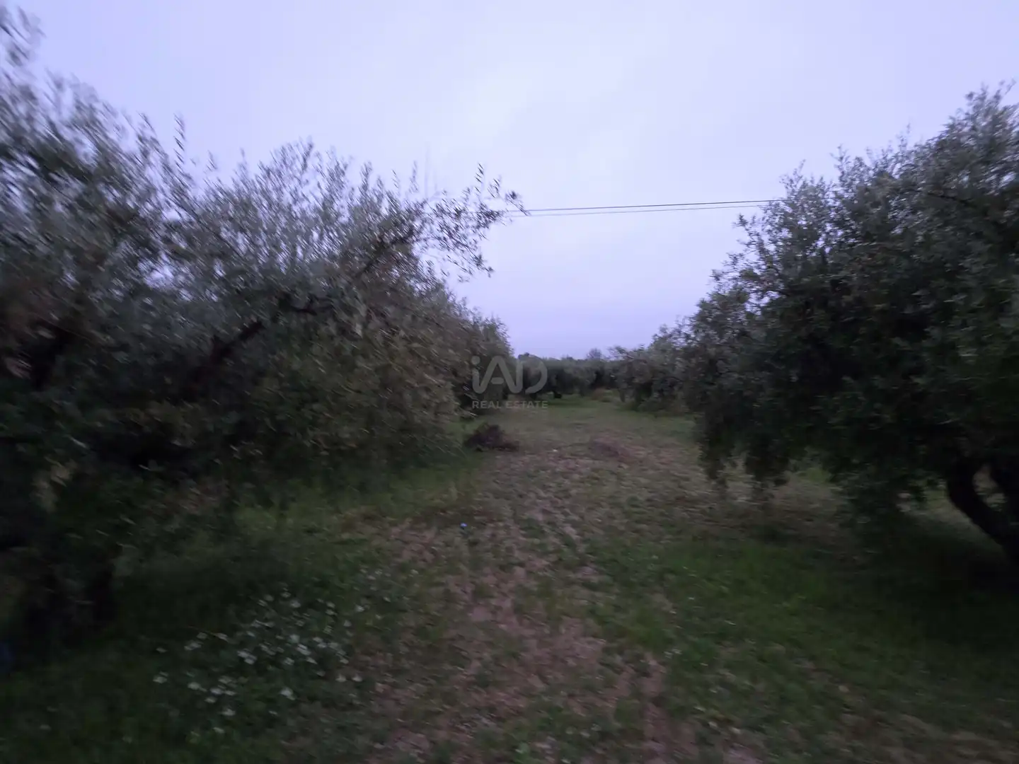 Finca rústica en venta en Moratalla con Aire acondicionado, Terraza y Piscina