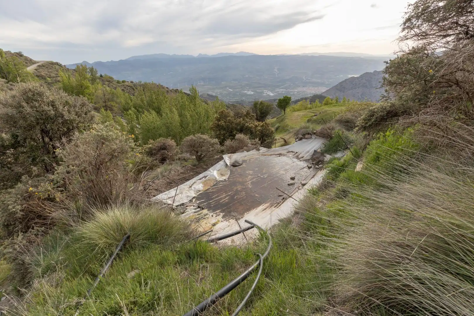 Piscina de Finca rústica en venta en Nigüelas con Amueblado