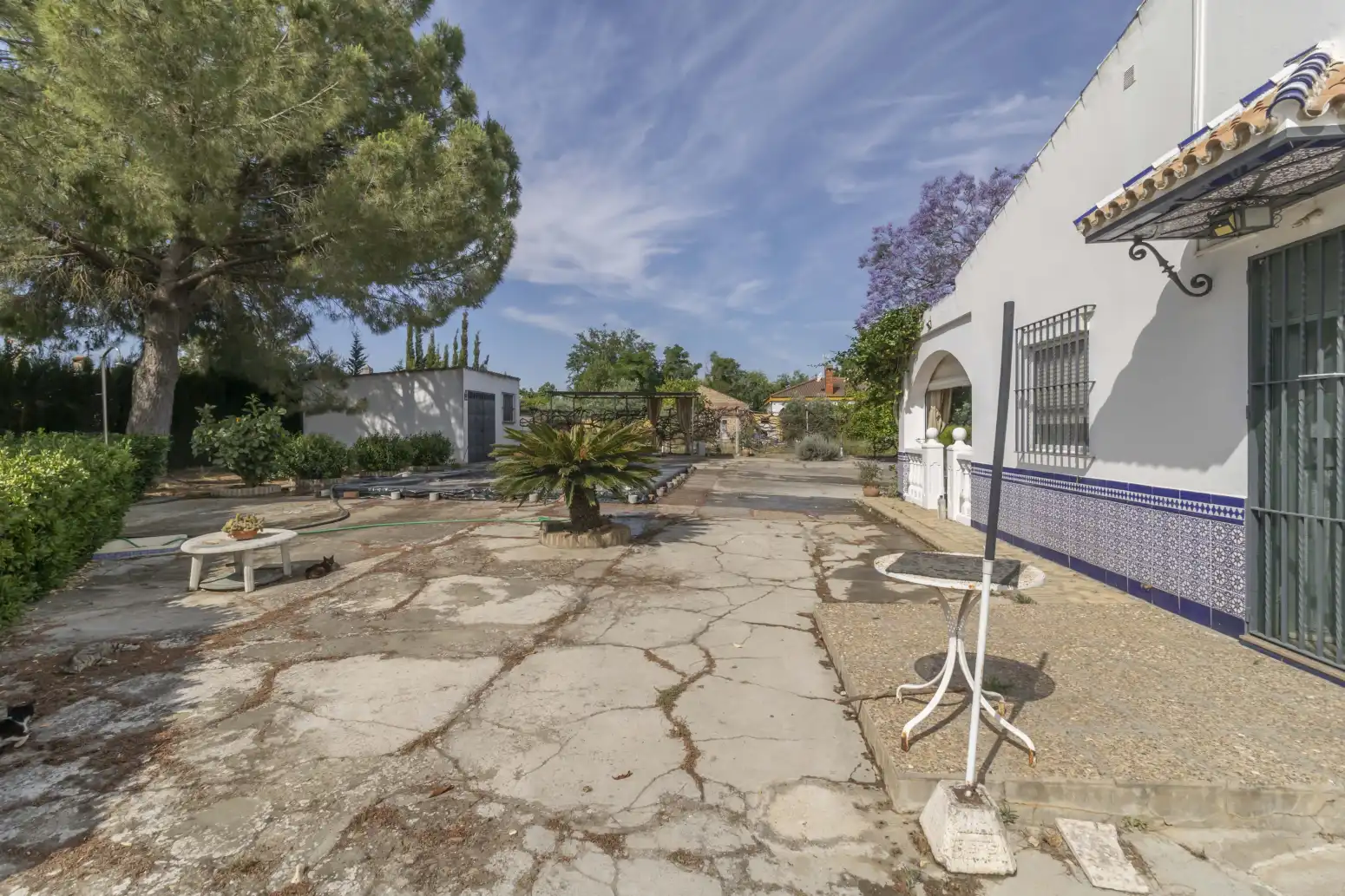 Vista exterior de Casa o chalet en venta en Carmona con Piscina