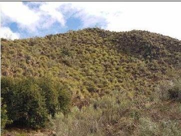 Exterior view of Land for sale in Albánchez